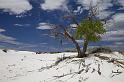 079 White Sands National Monument